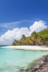 Exotic tropical beach with palm trees and white sand, Caribbean Petit Saint Vincent Island 