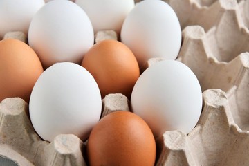 Brown and white chicken eggs in cardboard egg tray. Organic egg for healthy protein breakfast. Easter symbol. Raw chicken eggs.