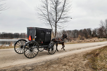 Fototapeta na wymiar Amish Horse and Buggy