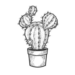 cactus flower plant in pot sketch engraving vector illustration. T-shirt apparel print design. Scratch board imitation. Black and white hand drawn image.