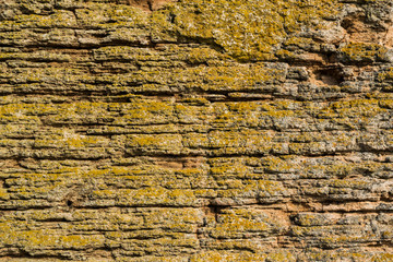 Textured wall, background