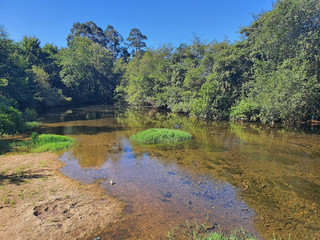 Fototapeta na wymiar Stream river and green forest surrounding