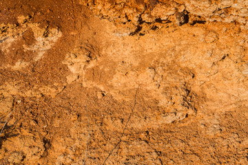 Brown background. Background, pattern, texture of ground with brown color.