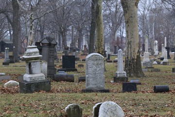 Spooky looking old cemetery