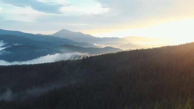 Aerial Drone Footage View: Flight over pine forest in foggy mountains. Carpathian Ukraine. Majestic landscape with sunset. 4K resolution.