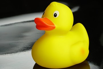 Yellow duck bath toy