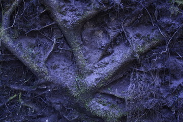 abstract background