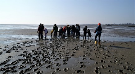 Wattwanderung auf Sylt