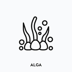 alga icon vector. alga symbol sign