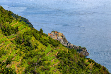 Fototapeta na wymiar Blick auf die Stadt Manarola in Ligurien im Nationalpark Cinque Terre