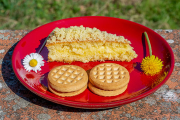 The delicious traditional Italian dessert called mimosa with biscuits on a ceramic plate of red colre and two flowers, one of dandelions and one daisy