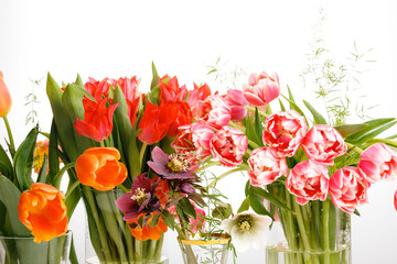 Fototapeta na wymiar Bright bouquets of tulips, festive spring composition on a white background