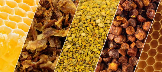 A variety of bee products. Honey, pollen, propolis, bee bread, wax. Apitherapy. Healthy products...