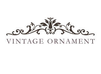 vintage ornament. floral decorative frame.