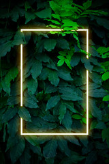 Сreative spring color layout. Neon light flat square frame on leaves background in green colors,...
