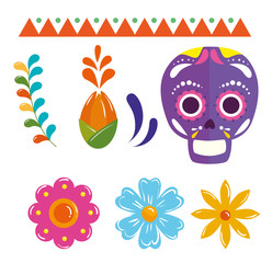 traditional icons set of cinco de mayo vector illustration design