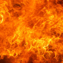 blaze fire flame conflagration texture background in square ratio