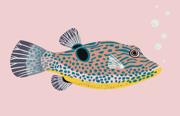 cute yellow pink fish. japanese puffer fish. vector illustration © muffin illustration