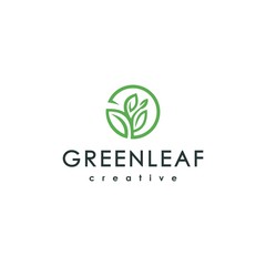 green leaf logo icon vector design