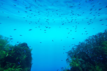 Fototapeta na wymiar Summer. Texture of water surface. Underwater background. Waves effects. Blue underworld. Ocean, sea. Diving. Blue sea pool water. Bottom view.