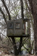 The tree house is secluded in the woods.
