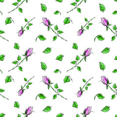 Seamless pattern. Roses, leaflets, thorns. Vector illustration on a white background. Use for printing wallpapers, backgrounds, fabrics, packaging, postcards.