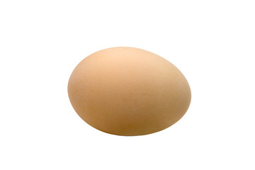  chicken one egg cream color on a white background
