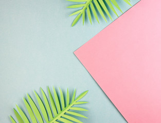 green leaves of exotic plants at the top of the page. blue and pink exotic background. summer background with palm leaves in pastel colors