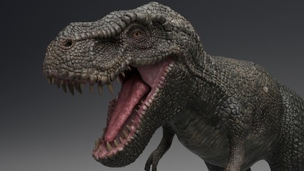 3D rendering of Dinosaur , isolated on white background.