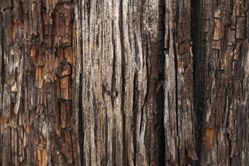Old Wood Board Texture Background