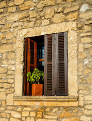 ein Fenster mit einer grünen Pflanze und braunen Fensterläden