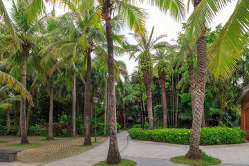 Park area on the promenade in cloudy weather