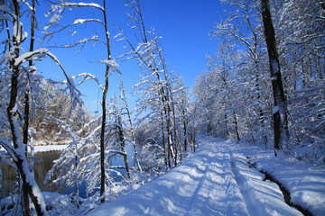 isar river in munich germany snow cold ice winter season wild forest with beautiful nature landscape blue sky