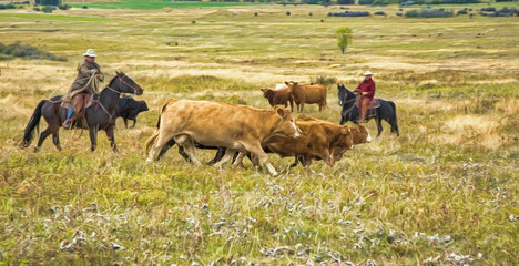 Cattle roundup,digital watercolor painting