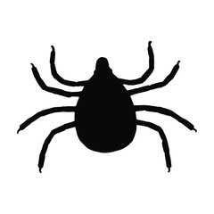 Silhouette insect isolated on the white background. Tick or spider icon. Vector illustration.