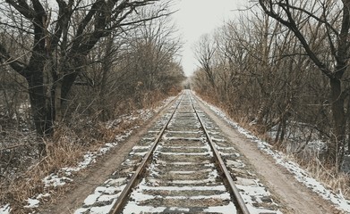 Fototapeta premium railway in the forest