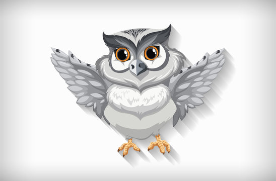 Gray owl flying on white background