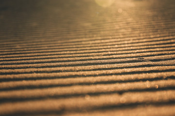 das gelbe Sonnenlicht scheint auf die Sanddüne von Corralejo in Fuerteventura