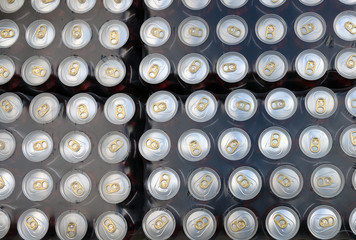 Packing with cans of beer