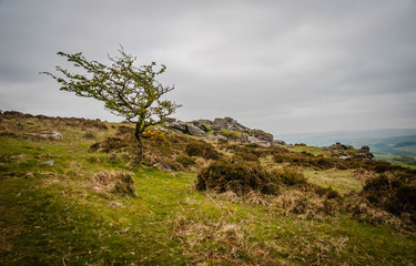 Fototapeta na wymiar Tor, rock formation in Dartmoor