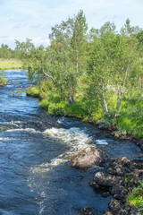 Fototapeta na wymiar Stream flowing in a wild landscape