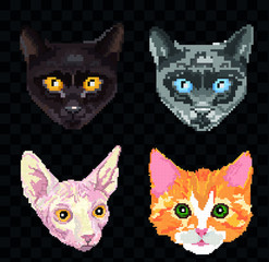 Pixel set sphinx orange cats portrait detailed isolated vector illustration