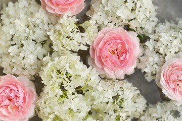 Close-up of pink roses flowers and white hydrangea in water with drops