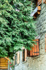 Stone and wood cabin with a green pine nearby.