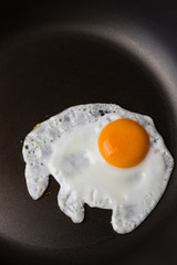 Fried Egg On The Pan