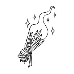 Black line art. Digital draw. Sparkles. Magical witchcraft. Transparent icon, isolated on white background. Vector EPS 10.