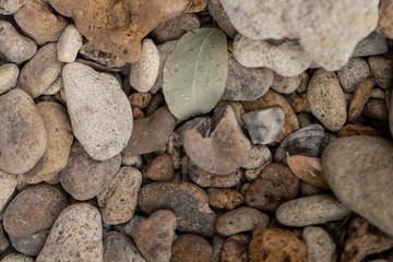 pebble-stone