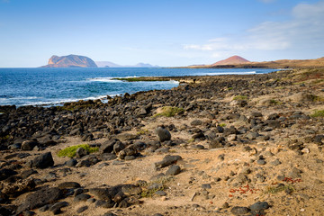 Fototapeta na wymiar coastline in la graciosa, canary islands