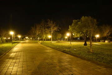 Night Illuminated Park in the City Near the Houses