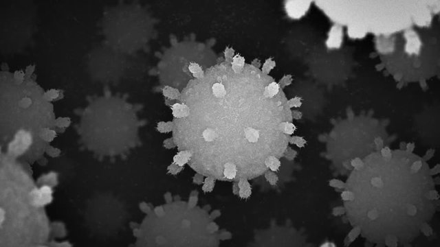 COVID-19 Coronavirus microscopic virus molecules, scanning electron microscope